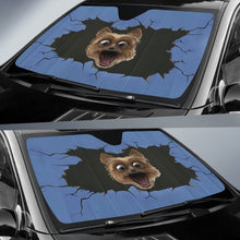Funny dog Sun Shade