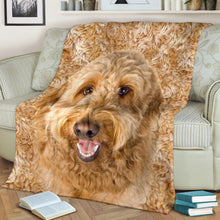 Premium Blanket Goldendoodle - Blanket - 1306