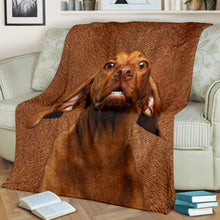 Premium Blanket Vizsla - Blanket - 1276