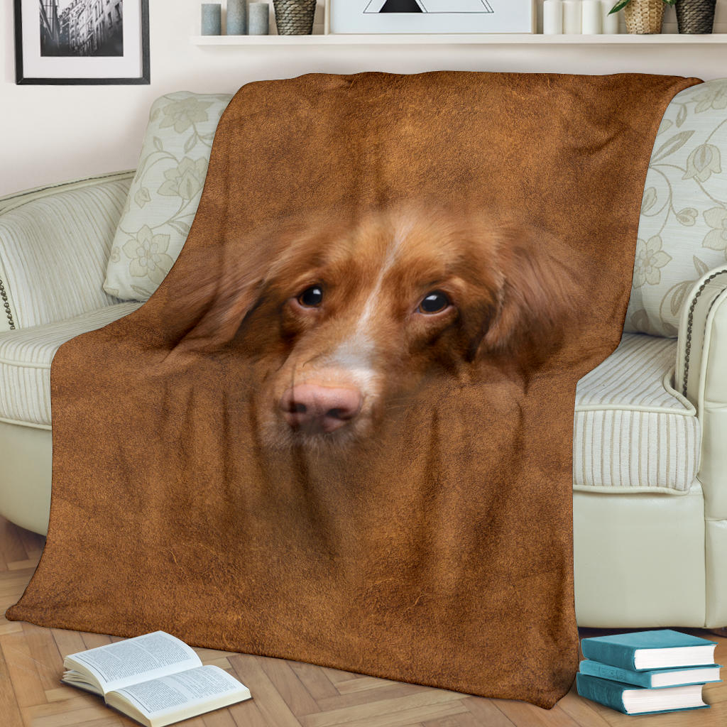 Premium Blanket Nova Scotia Duck Tolling Retriever Face Hair
