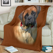 Premium Blanket English Mastiff Head 2