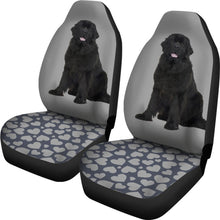 Newfoundland Seat Covers 1