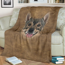 Premium Blanket Swedish Vallhund Face Hair Blanket