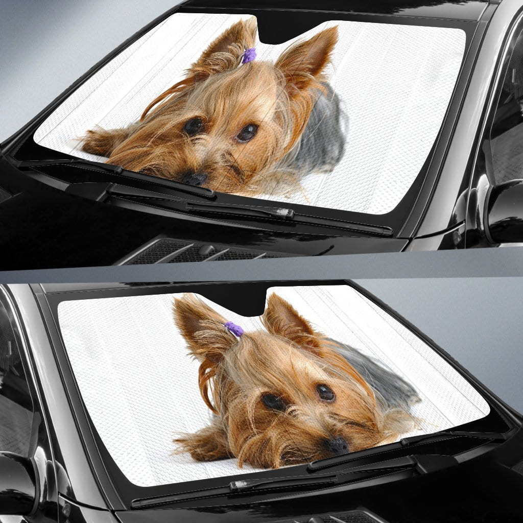 Yorkie Sun Shade