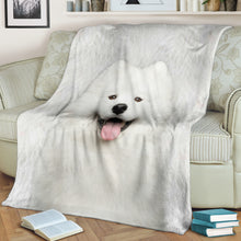 Premium Blanket Samoyed - Blanket - 1244