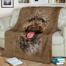 Premium Blanket Spanish Water Dog Face Hair Blanket