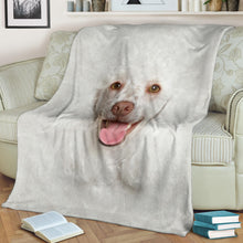 Premium Blanket Poodle Face Hair Blanket