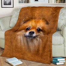 Premium Blanket Pomeranian Face Hair Blanket