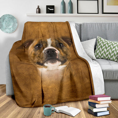 Premium Blanket Staffordshire Bull Terrier Face Hair Blanket