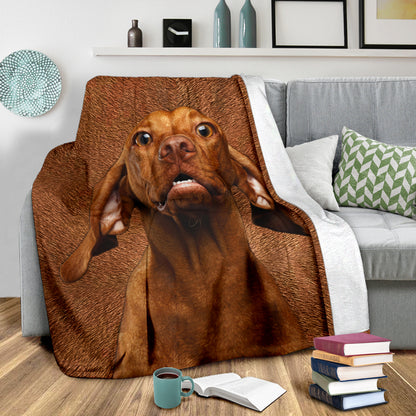 Premium Blanket Vizsla - Blanket - 1276