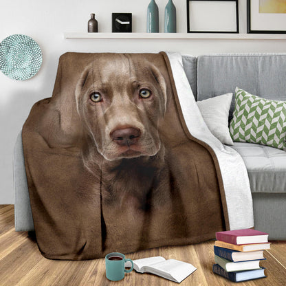 Premium Blanket Weimaraner Face Hair Blanket