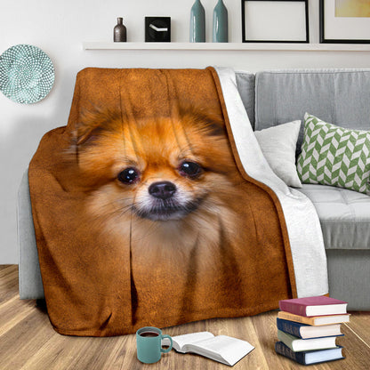 Premium Blanket Pomeranian Face Hair Blanket