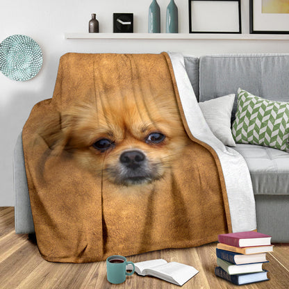 Premium Blanket Pekingese Face Hair