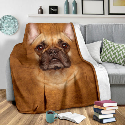 Premium Blanket French Bulldog Face Hair