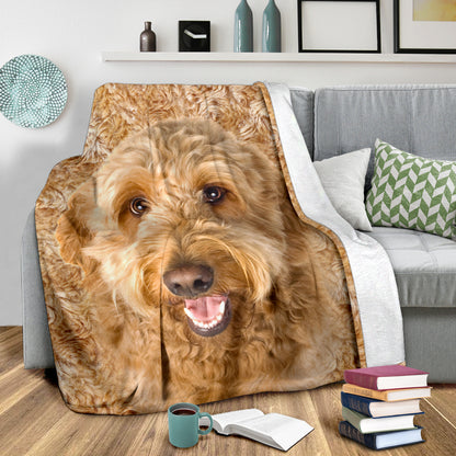 Premium Blanket Goldendoodle - Blanket - 1306