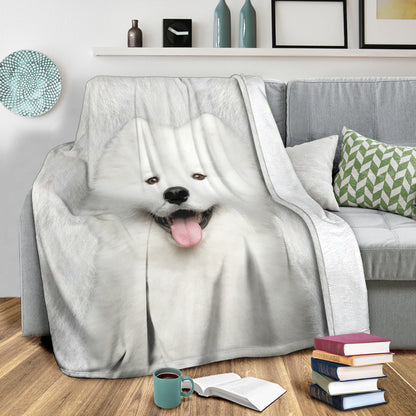 Premium Blanket Samoyed - Blanket - 1244