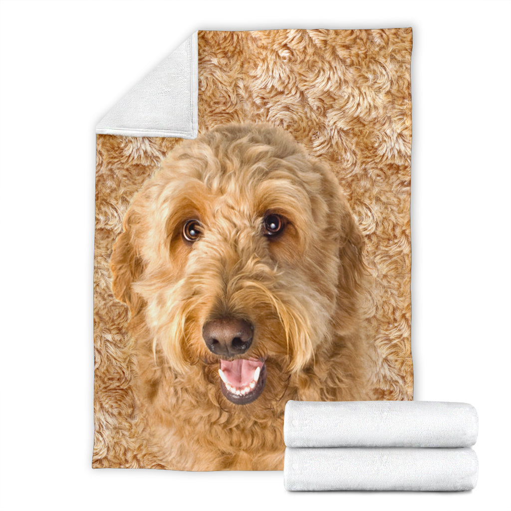Premium Blanket Goldendoodle - Blanket - 1306