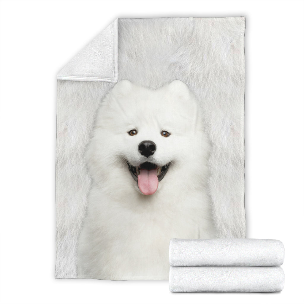 Premium Blanket Samoyed - Blanket - 1244