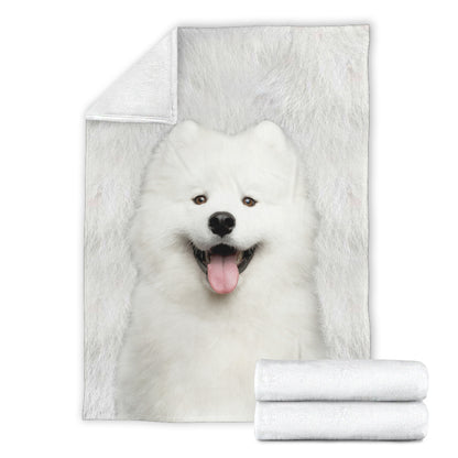 Premium Blanket Samoyed - Blanket - 1244