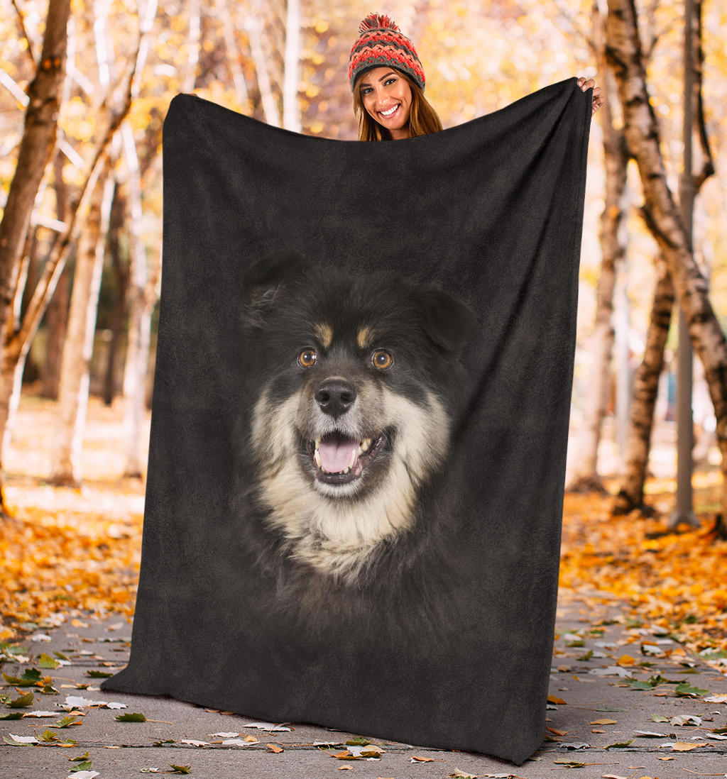 Premium Blanket Finnish Lapphund Face Hair