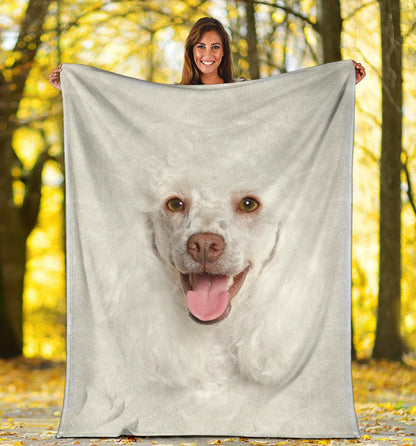Premium Blanket Poodle Face Hair Blanket