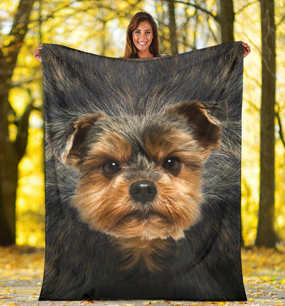 Premium Blanket Yorkshire Terrier Face Hair Blanket