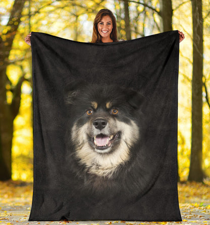 Premium Blanket Finnish Lapphund Face Hair