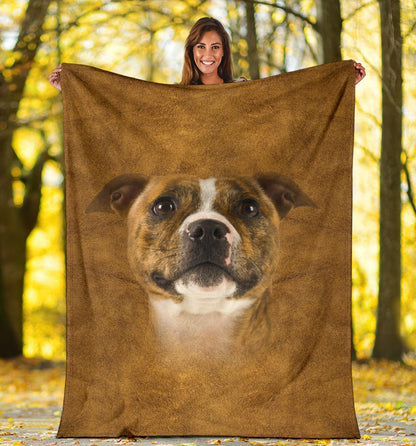 Premium Blanket Staffordshire Bull Terrier Face Hair Blanket