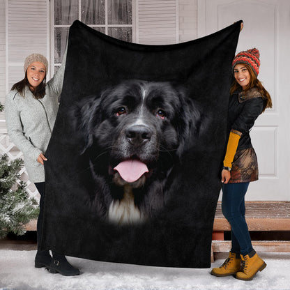 Premium Blanket Newfoundland Face Hair