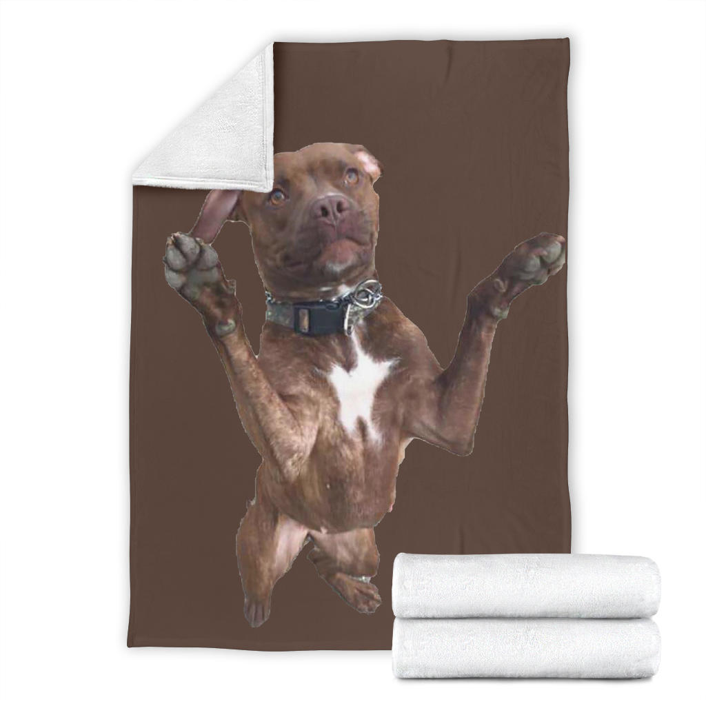 Dog standing up design premium blanket