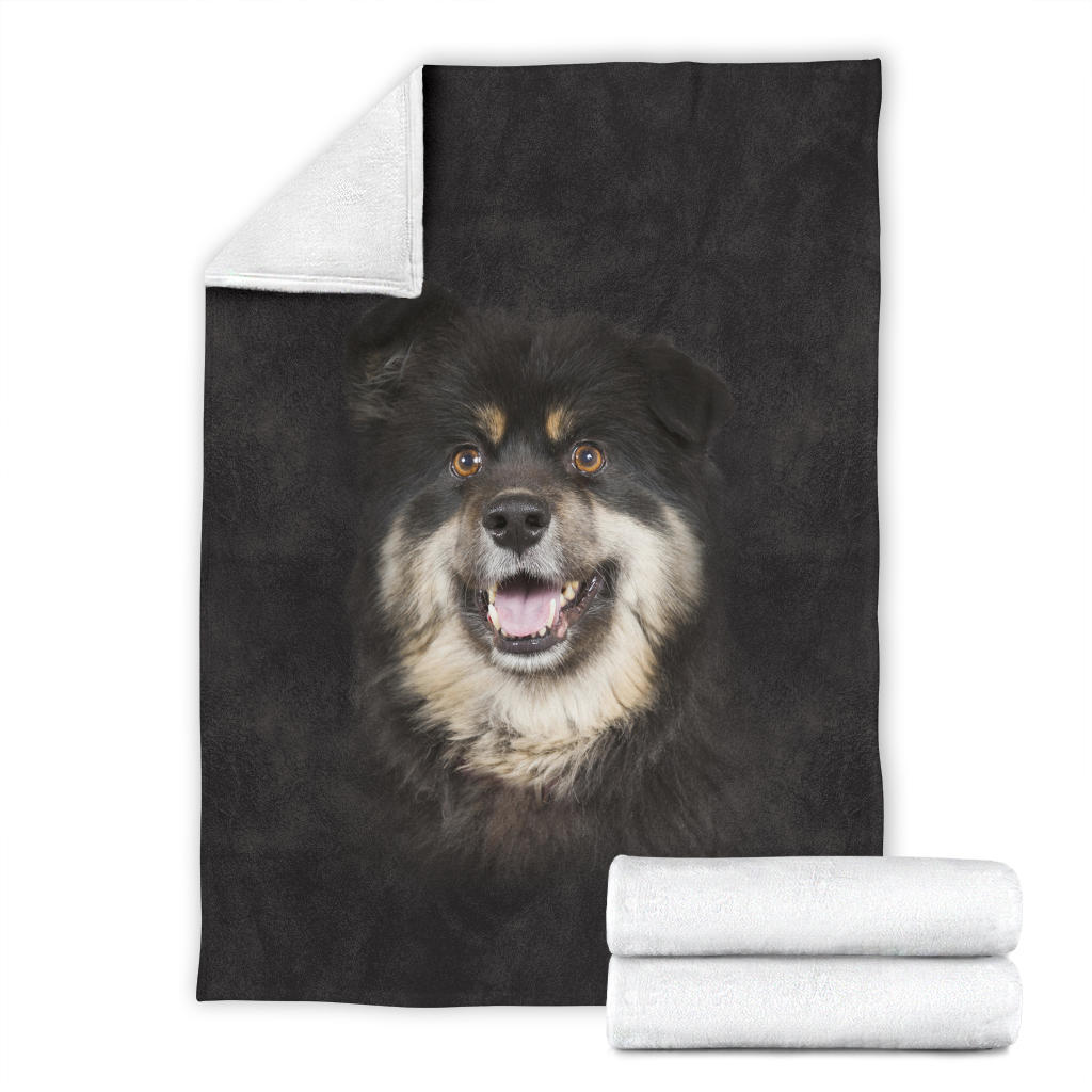 Premium Blanket Finnish Lapphund Face Hair