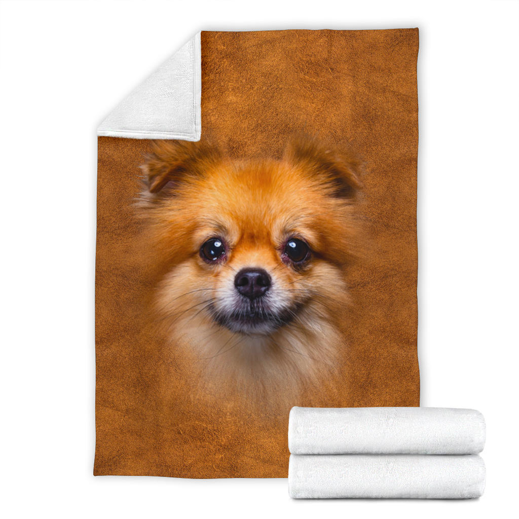 Premium Blanket Pomeranian Face Hair Blanket