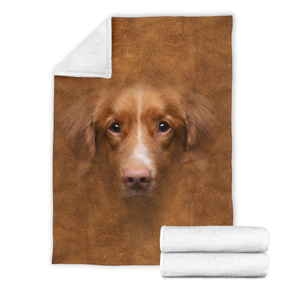 Premium Blanket Nova Scotia Duck Tolling Retriever Face Hair