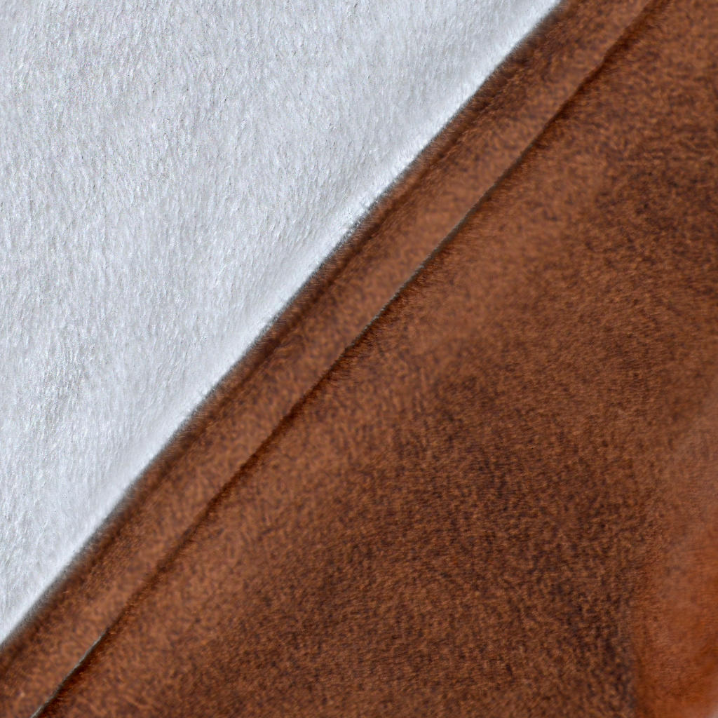 Premium Blanket Vizsla Face Hair Blanket