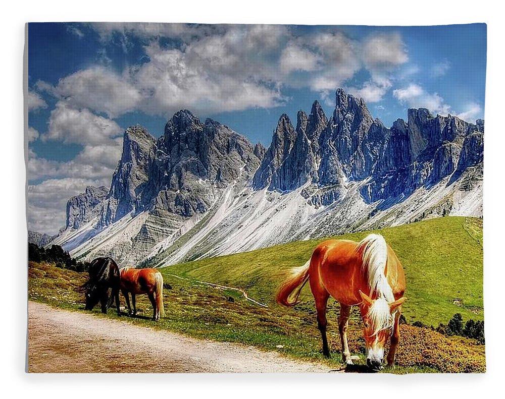 Horses - Blanket