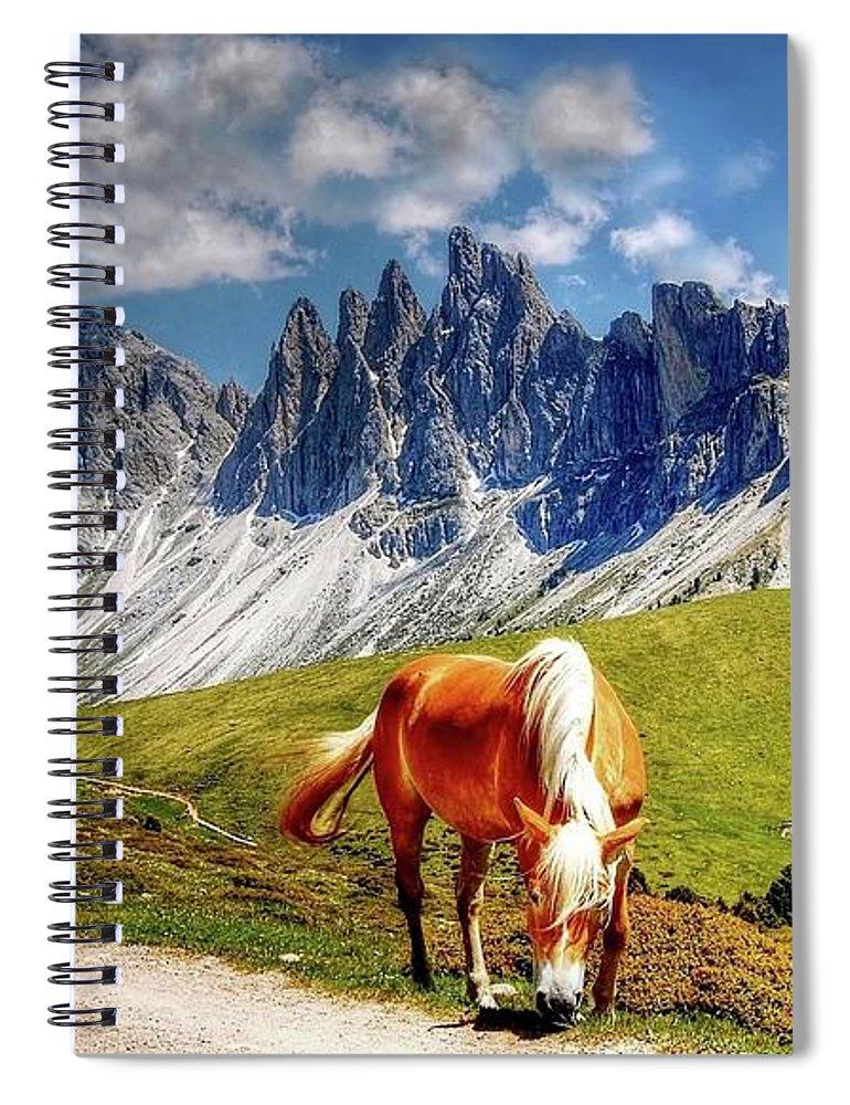 Horses - Spiral Notebook