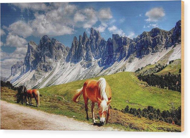 Horses - Wood Print