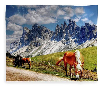 Horses - Blanket