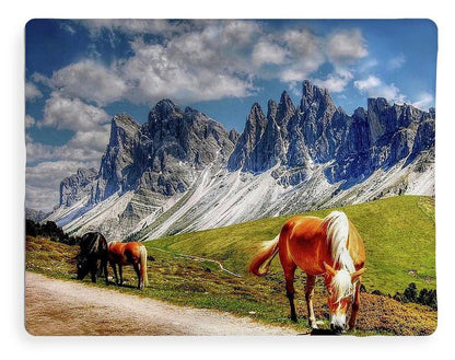 Horses - Blanket