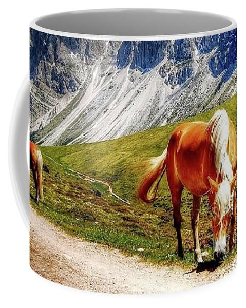 Horses - Coffee Mug