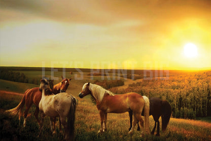 Horses in Pasture Dusk Custom Designed Wallpaper