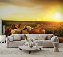 Horses in Pasture Dusk Custom Designed Wallpaper