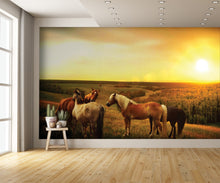 Horses in Pasture Dusk Custom Designed Wallpaper