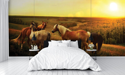 Horses in Pasture Dusk Custom Designed Wallpaper
