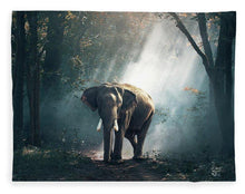 Lone Elephant - Blanket