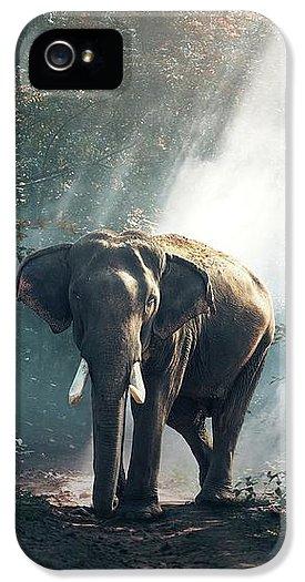 Lone Elephant - Phone Case