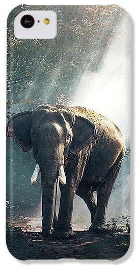 Lone Elephant - Phone Case