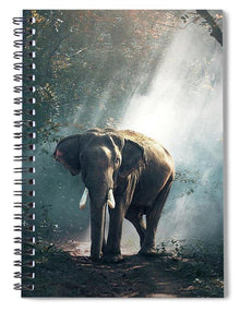 Lone Elephant - Spiral Notebook