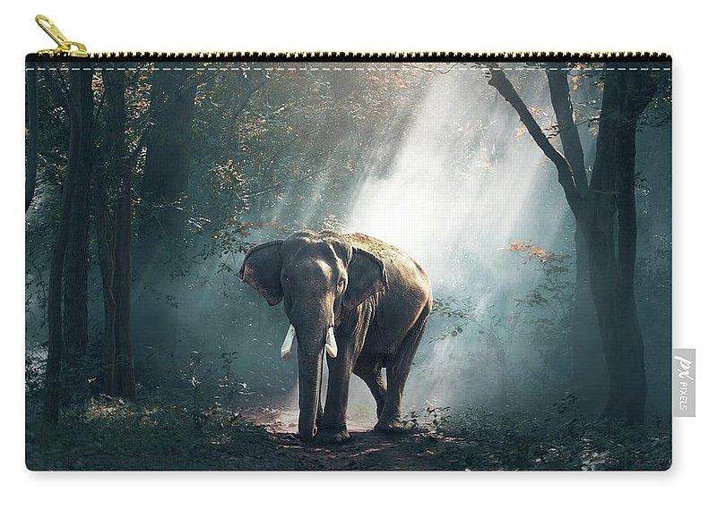 Lone Elephant - Carry-All Pouch