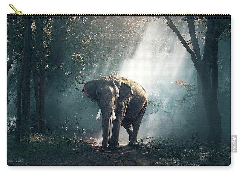 Lone Elephant - Carry-All Pouch